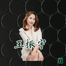 王振宇